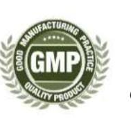 GMP logo